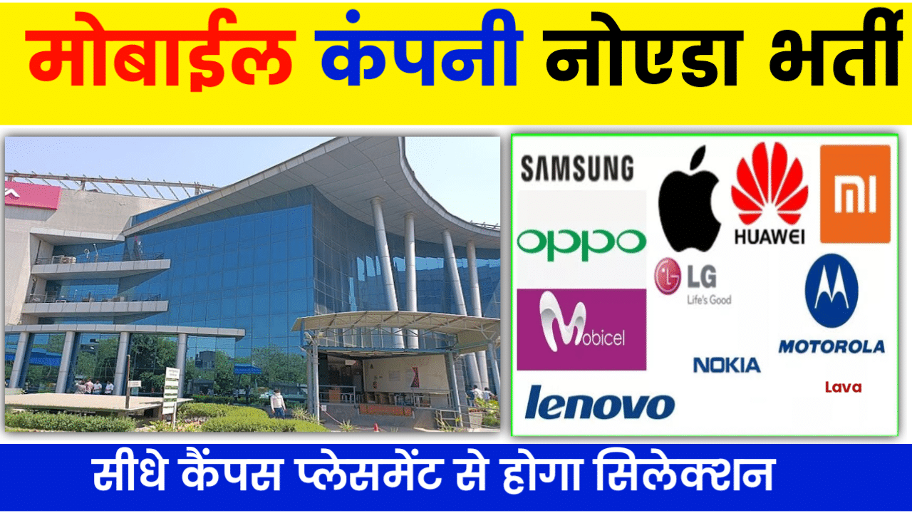 Mobile company job in Noida Sector 63