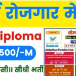 Jubilant Footwork Ltd Jobs in Noida 2024