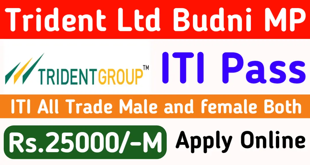 Trident Ltd Budni New Vacancy