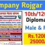 6 Company UP Rojgar Mela 2024