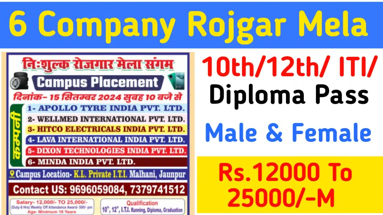 6 Company UP Rojgar Mela 2024